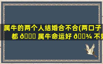 属牛的两个人结婚合不合(两口子都 🐞 属牛命运好 🌾 不好)
